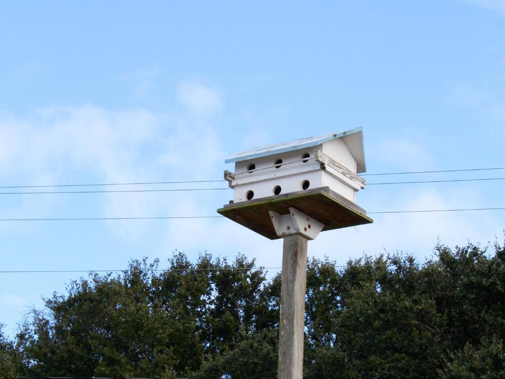 Falcon Motel Buxton Zewnętrze zdjęcie